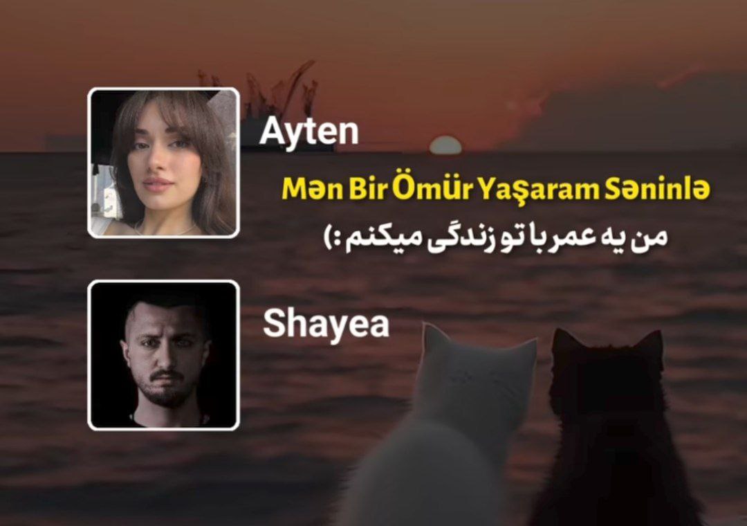 ریمیکس ترکی آیتن رسول با شایع